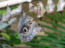 Tiergarten Schönbrunn am 12.03.2025